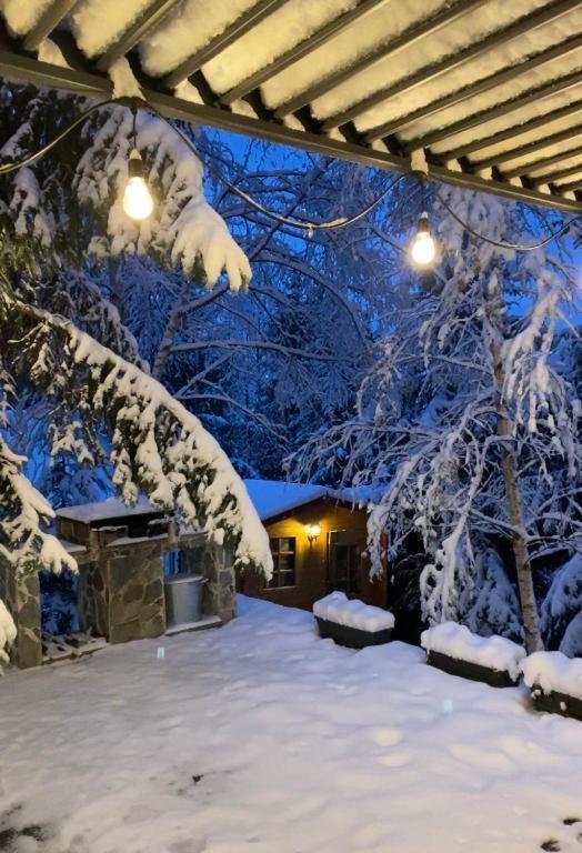 Mountain Chalet - Cabana La Muntele Baisorii Muntele Cacovei (Transylvania) Exterior foto