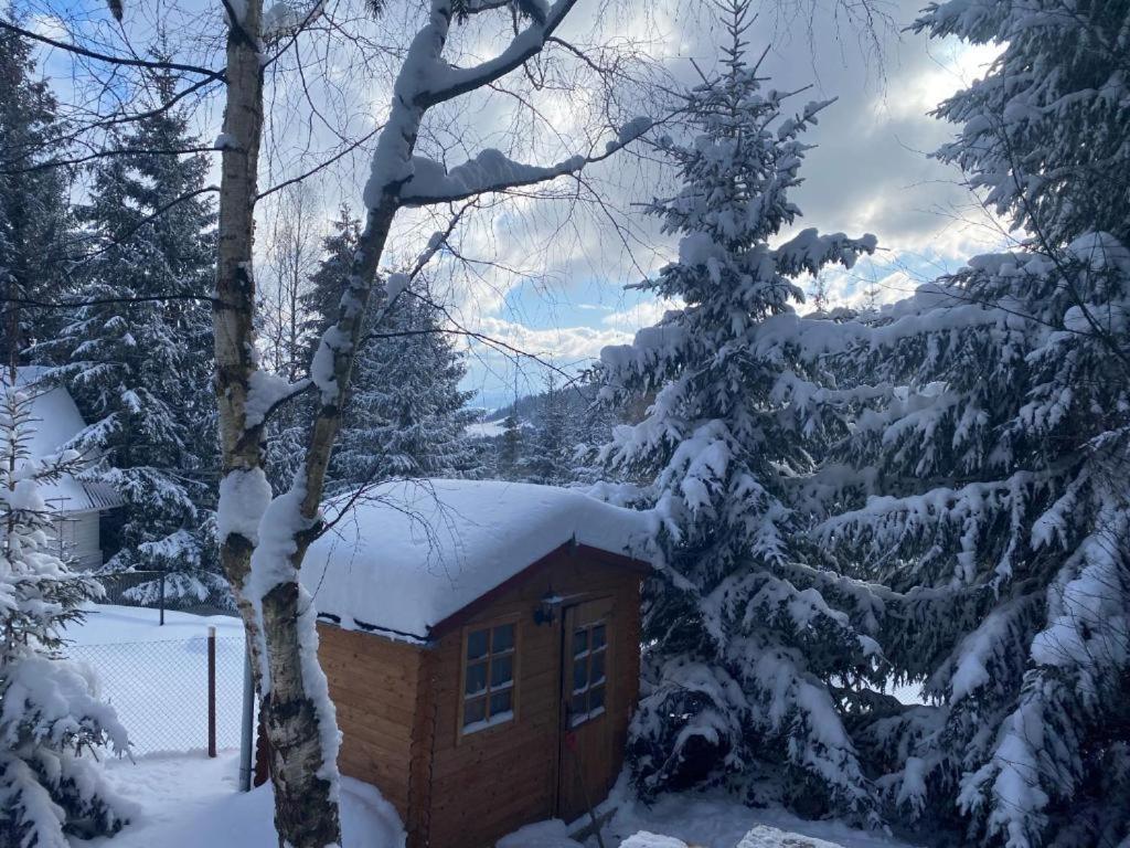 Mountain Chalet - Cabana La Muntele Baisorii Muntele Cacovei (Transylvania) Exterior foto